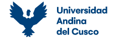 logo_UAndina